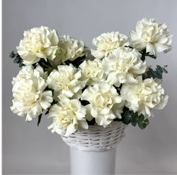 Bouquet of 25 white French Blanche roses in a basket