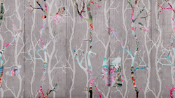 WONDERLAND 20