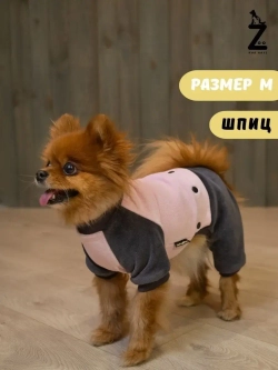 Комбинезон костюм для собак и кошек