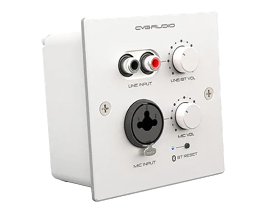 CVGAUDIO PW-IN/W