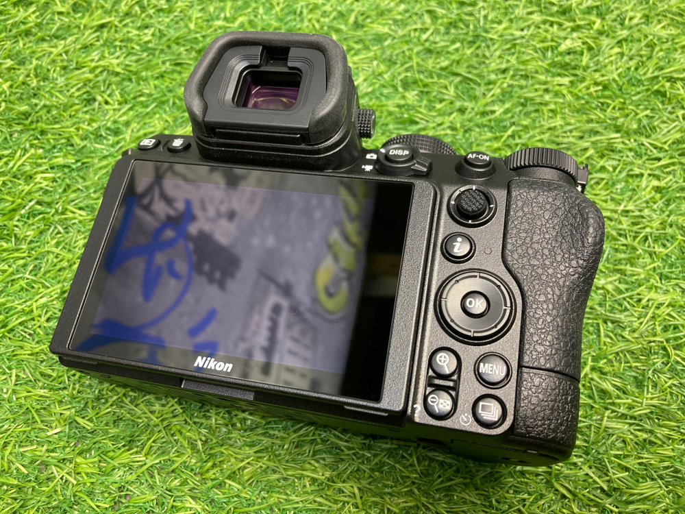 Nikon Z5 100 кадров