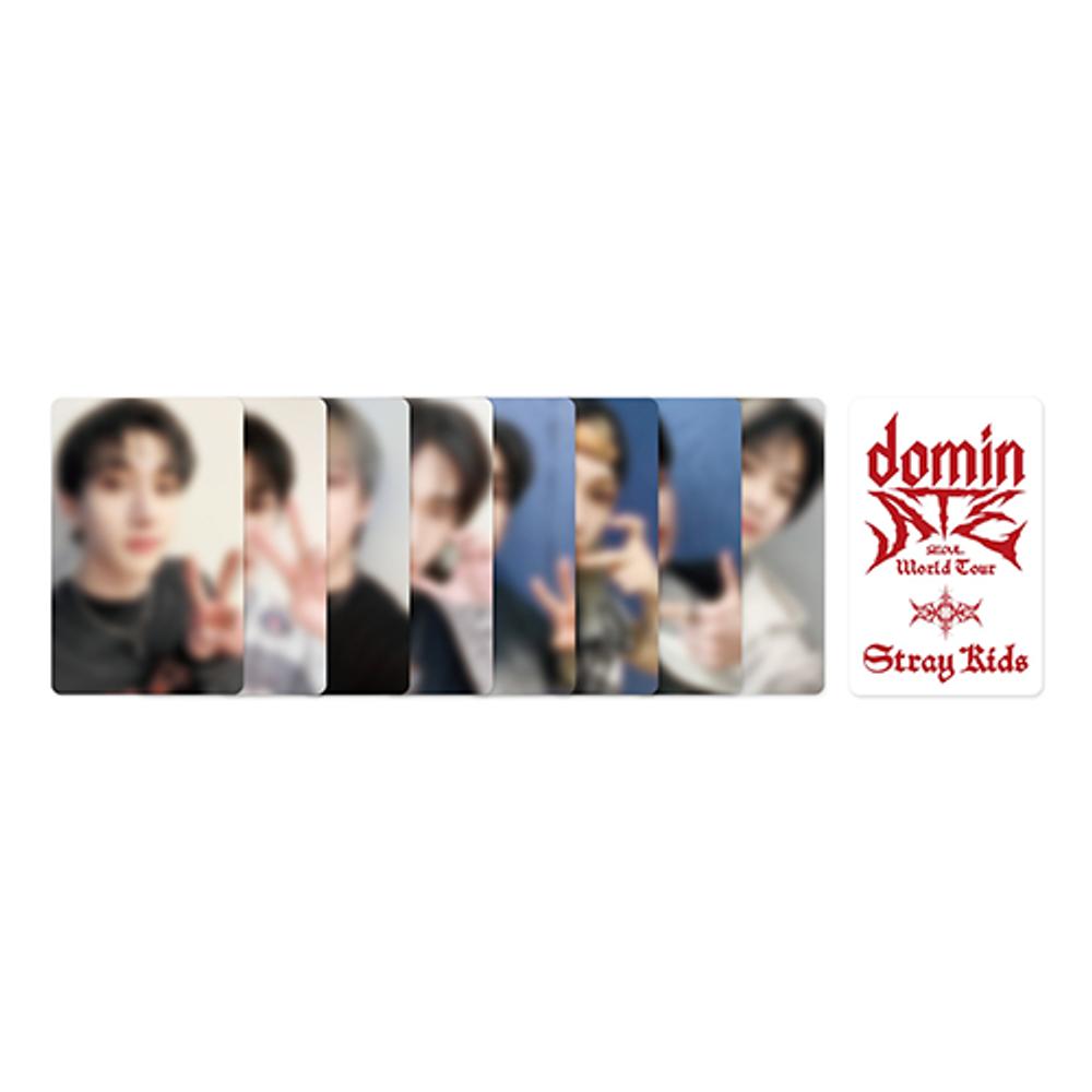 Фильм Stray Kids - Stray Kids World Tour [dominATE SEOUL] DVD