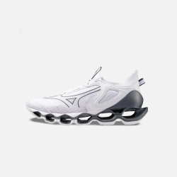 Кроссовки Mizuno Wave Prophecy 14