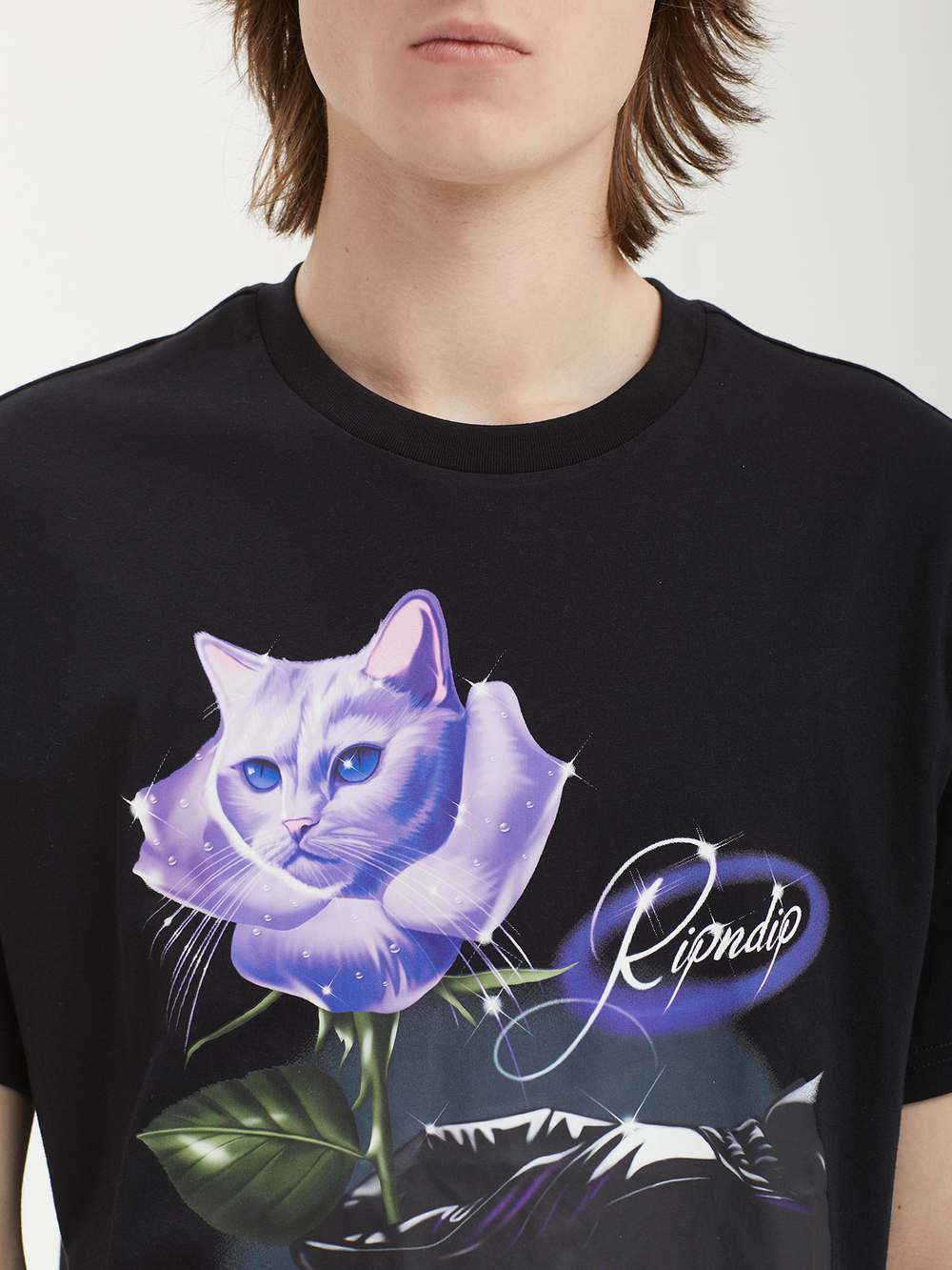 Мужская Футболка Rose