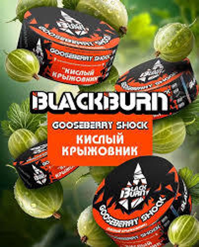 BlackBurn Gooseberry Shock (Кислый крыжовник) 25г
