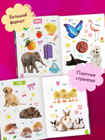 Первая фотокнига малыша. 500 слов малыша. Запуск речи