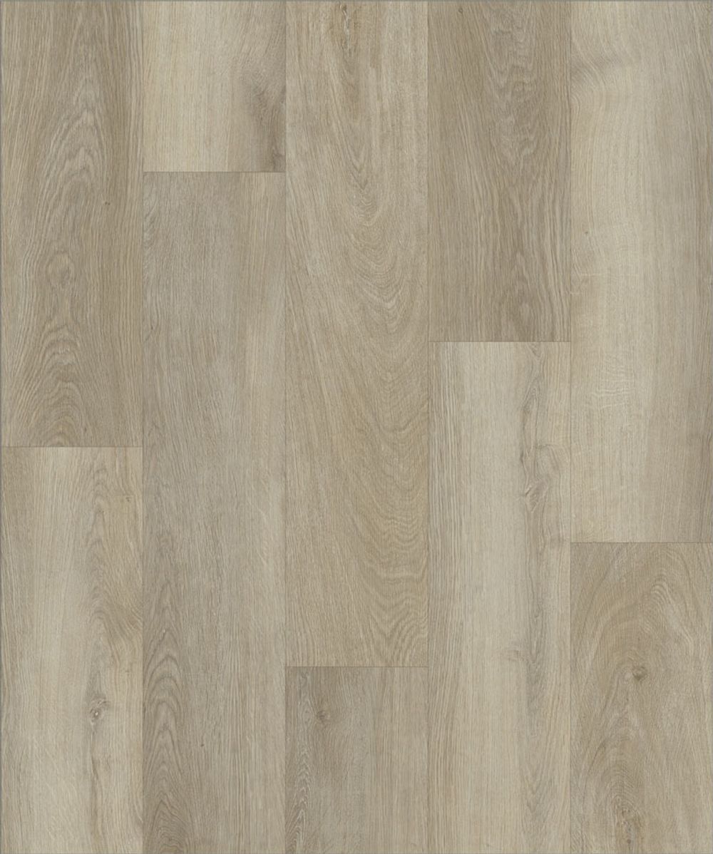 Strong Step Expert XXL Chablis, 2,172 м²