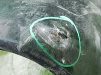 DSCN4775.JPG