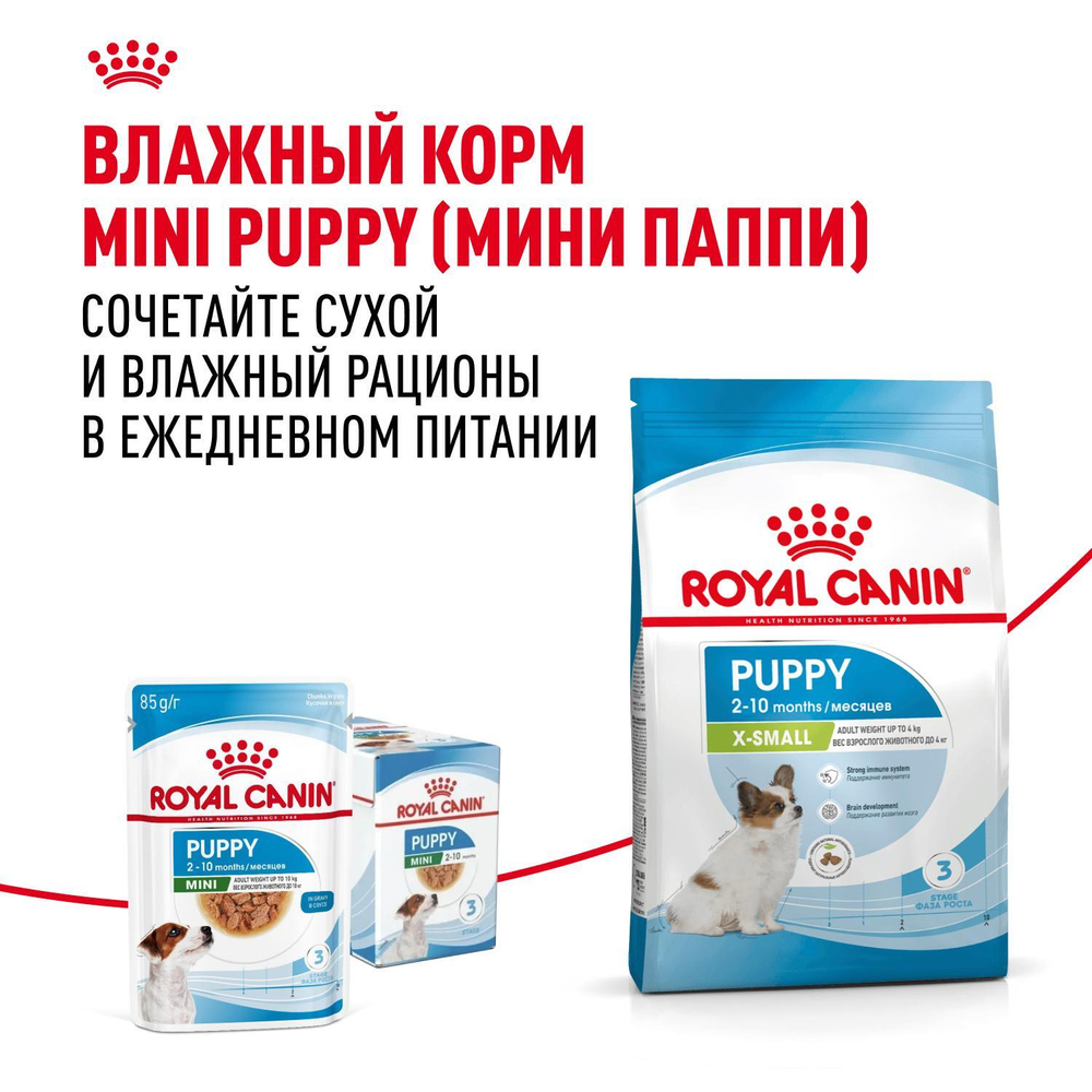 Royal Canin X-Small Puppy Икс-Смол Паппи Корм сухой для щенков миниатюрных пород в возрасте до 10 месяцев 1,5кг