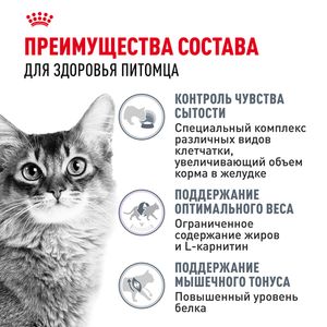 Уценка! Срок 26.08.26/ Сухой корм Royal Canin Light Weight Care для взрослых кошек для профилактики лишнего веса