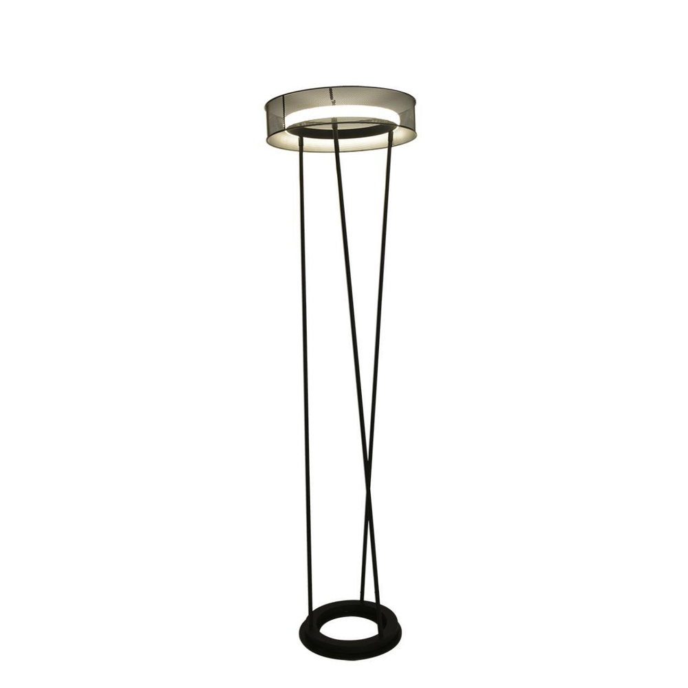 Торшер светодиодный Lumion ALVA 8370/30FL