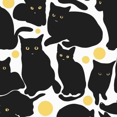 Чёрная кошка Настя