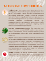 Коктейль Провитель Заряд, 300 г Сбалансированное питание для первой половины дня