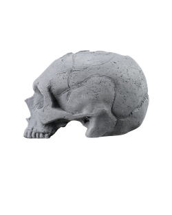 SCULL grey
