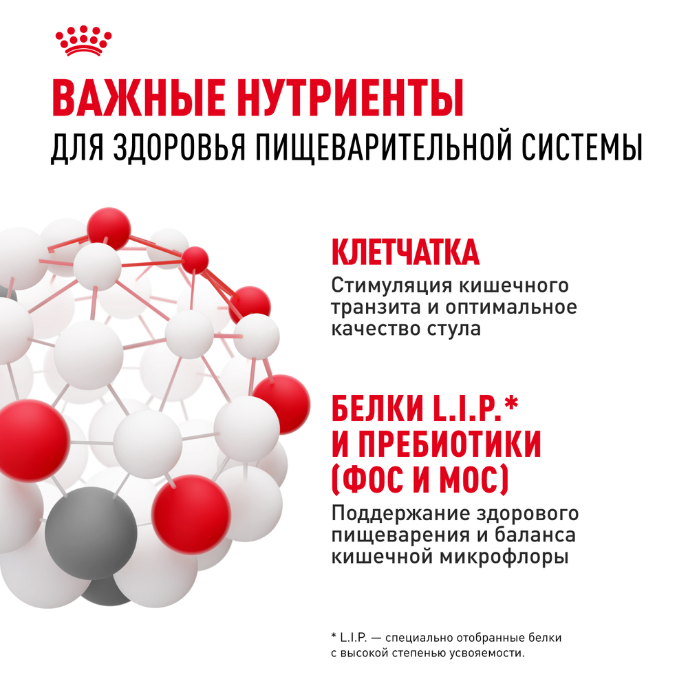 Royal Canin Maxi Digestive Care Макси Дайджестив кэа Корм сухой для взрослых собак больших размеров с чувствительным пищеварением 12кг