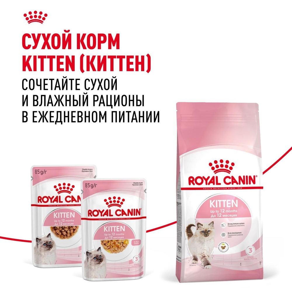 Royal Canin Kitten Киттен Корм влажный для котят в период третьей фазы роста в возрасте до 12 месяцев желе 85г