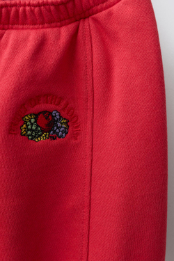 ZARA - FRUIT OF THE LOOM™ БРЮКИ С ВЫШИВКОЙ, КРАСНЫЙ