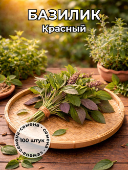 Базилик красный семена 100 штук