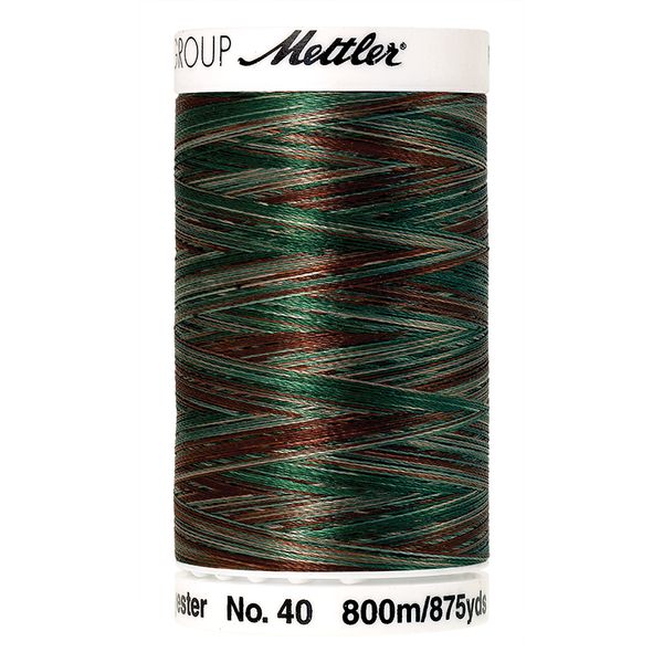 Нить вышивальная Mettler Poly Sheen Multi #40 (800 м), 5 кат. | цв. 9982