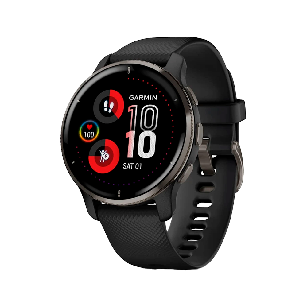 Умные часы Garmin Venu 2 Plus, 43.6mm, Slate Black (010-02496-11)