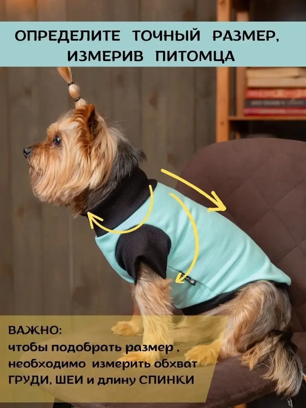 Футболка для собак мелких средних пород и кошек