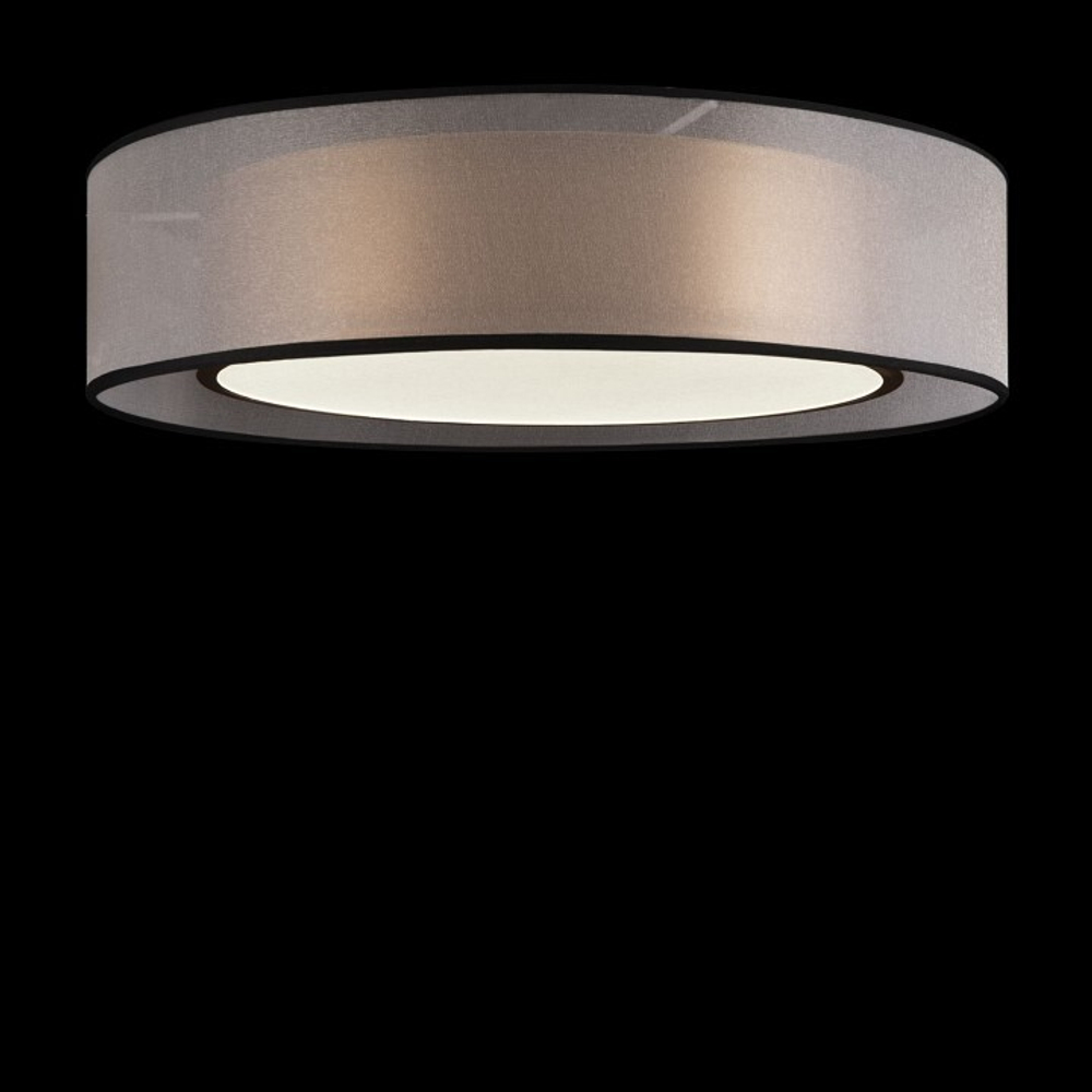 Накладной светильник Freya Zoticus FR6005CL-L36G