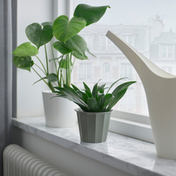 IKEA BUSKVERK  (ИКЕА БУСКВЕРК)  -  Кашпо - для дома/для улицы серый 9 см