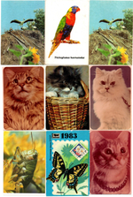№ 26 Набор Календариков 25 шт. Фауна, животные, птицы и рыбы 1977-2003 гг.