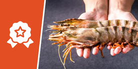 Мировые рекорды, связанные с морепродуктами