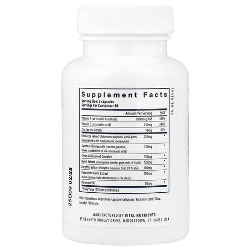 Vital Nutrients, Herbal Biotic, биотик, 60 веганских капсул