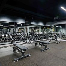 Гантельный ряд профессиональный (шаг 2,5 кг, 5 пар) PROFI-FIT 40-50 кг