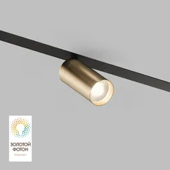 Трековый светильник SMART SPOT | СМАРТ СПОТ DK8010-BG Denkirs