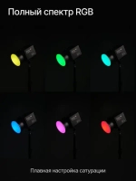 Осветитель светодиодный Raylab RL-100RGB 100W 5000mAh c аксессуарами