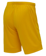 Шорты игровые DIVISION PerFormDRY Union Shorts, желтый