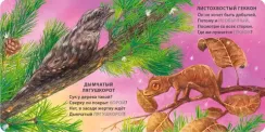 Книжки - картонки. Загадки - рифмы. Животные - невидимки