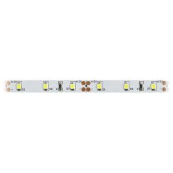 Светодиодная лента ЭРА LS2835-4,8-60-12-6500K-IP20-1 year-5m холодный белый 1 год | Светодиодные ленты 12В 1 год
