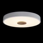 Потолочный светодиодный светильник Loft It Axel 10003/24 White