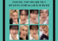 Альбом Stray Kids - THIS & THAT [FANS SHOP event]