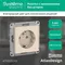 Розетка с заземлением без шторок Systeme Electric AtlasDesign Бежевый ATN000243