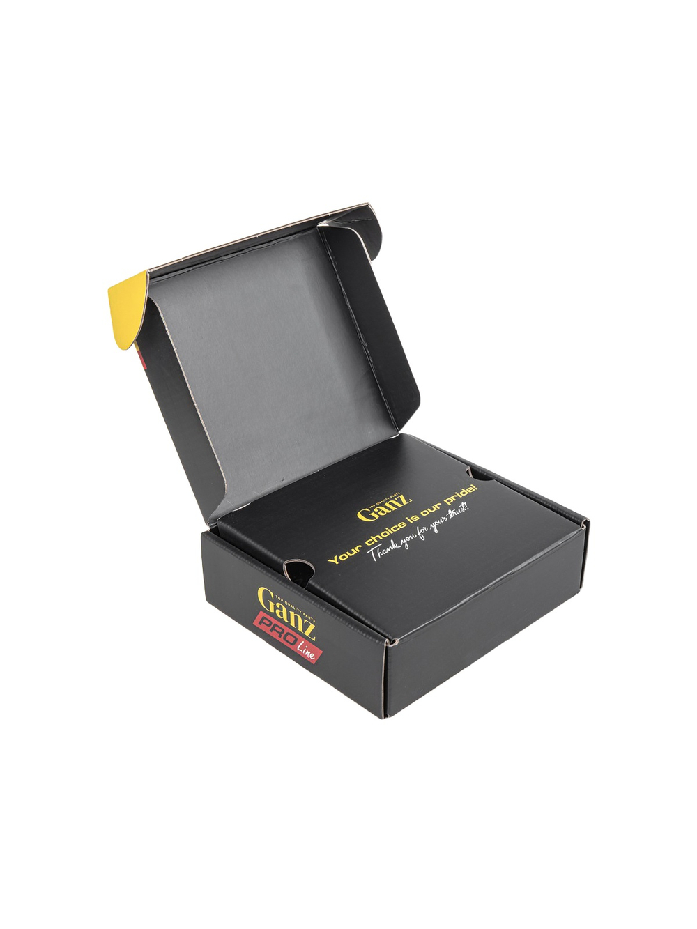 Колодки задние PRO-Line Ceramic EXEED LX GANZ GIJ09206C