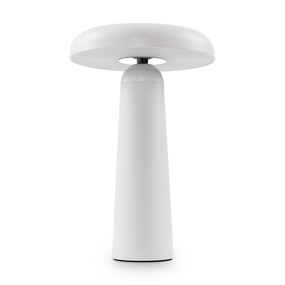 Аккумуляторный светильник Freya FR6109TL-L4W