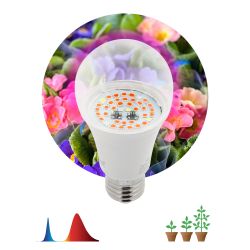 Фитолампа для растений светодиодная ЭРА FITO-12W-RB-E27 красно-синего спектра 12 Вт Е27 | Фитолампы Е27