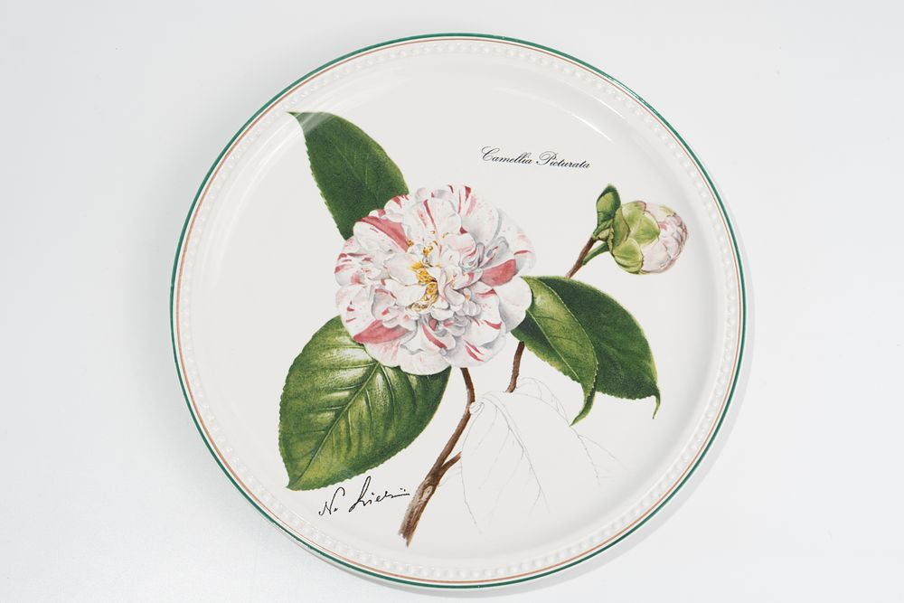 Коллекционная декоративная тарелка с изображением камелии (Camellia Picturata)