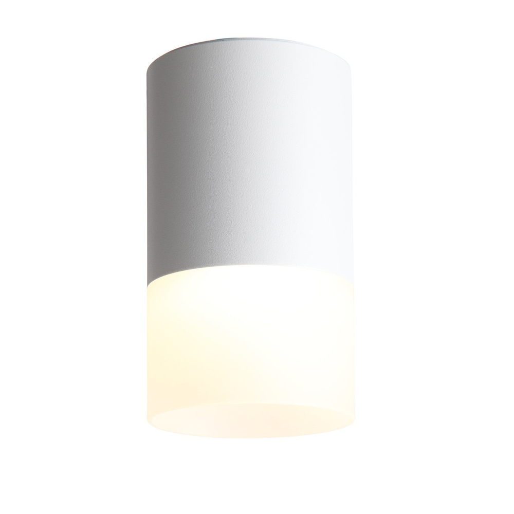 ST100.502.05 Светильник потолочный Белый LED 1*5W 3000K 390Lm Ra>80 120° D64xH110 170-240V
