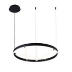 Подвесной светодиодный светильник Arte Lamp RICCO A1874SP-32BK