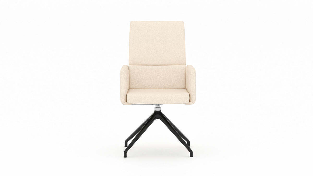 Стул DeSede DS-414/12 Chair