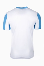 Футболка Nike Striped Division V