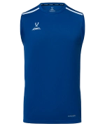 Майка тренировочная DIVISION PerFormDRY Training Sleeveless, синий