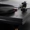 Gold Note Pianosa Black Lacquer