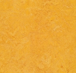 marmoleum real
